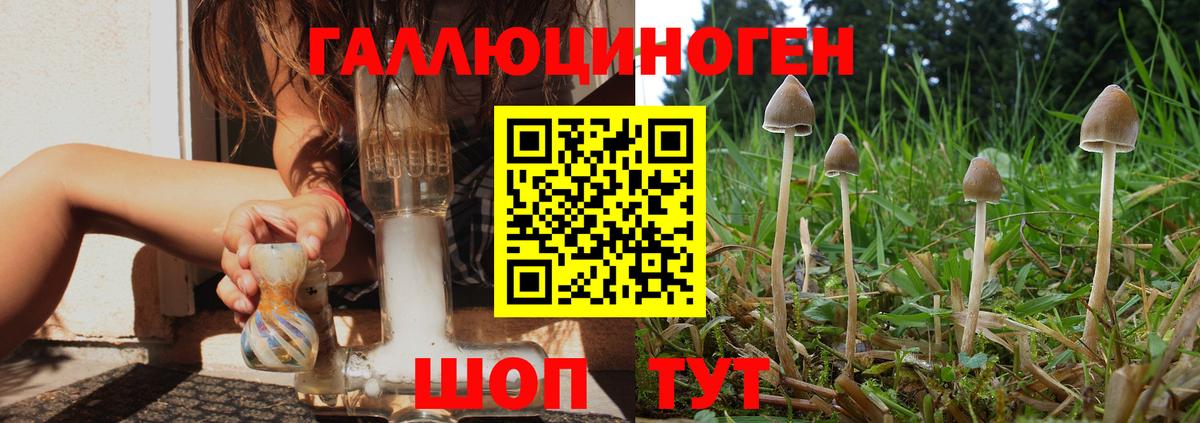 Карасук  Псилоцибиновые грибы мицелий  наркота  Вход с VPN 
