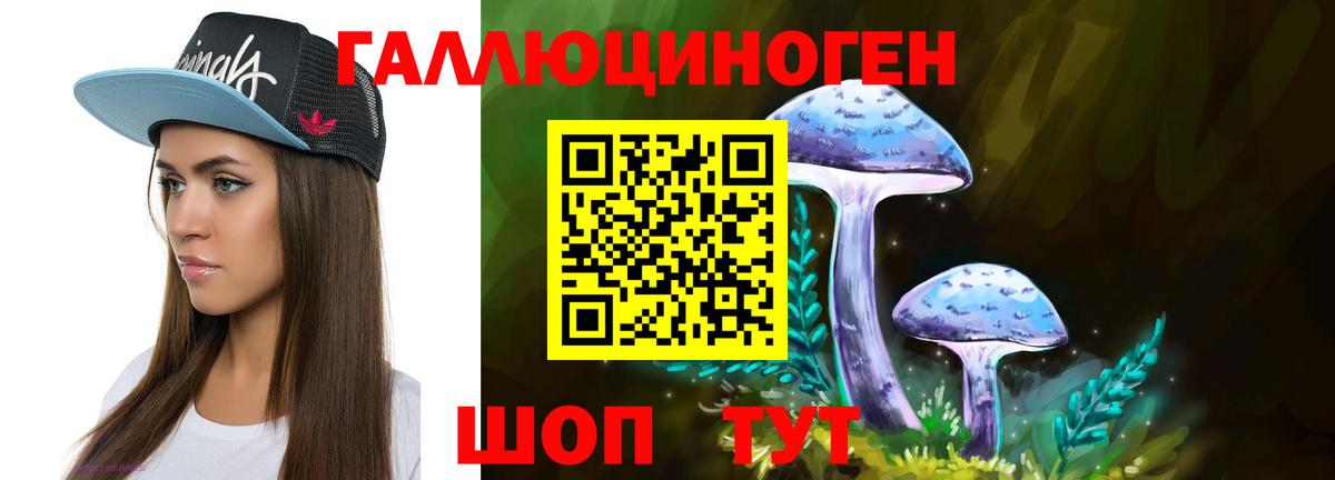 Псилоцибиновые грибы GOLDEN TEACHER Карасук